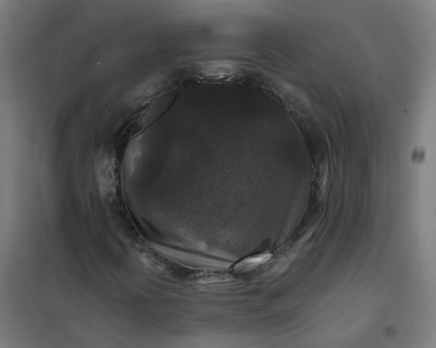 X0000101711394200807241445