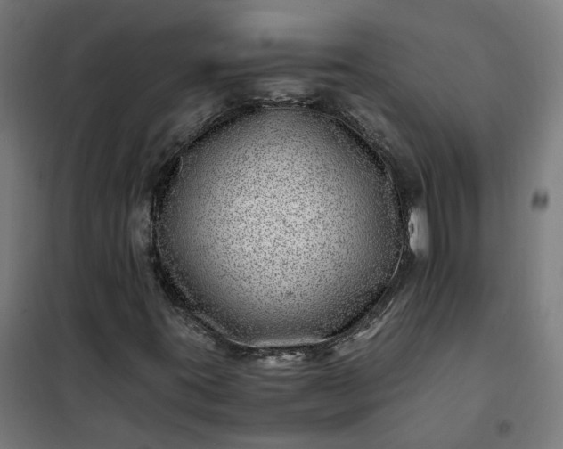 X0000101711395200807241445