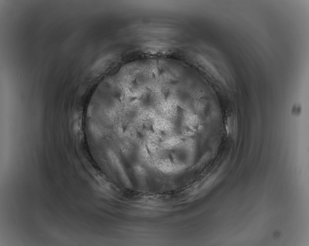 X0000101711396200807241445