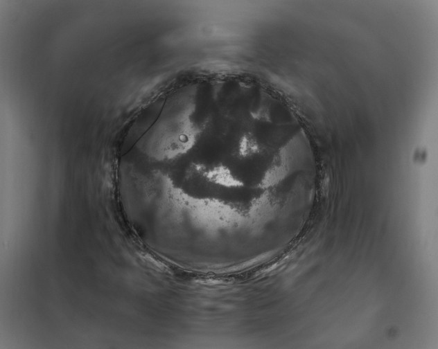 X0000101711397200807241445