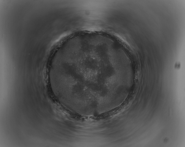 X0000101711398200807241445