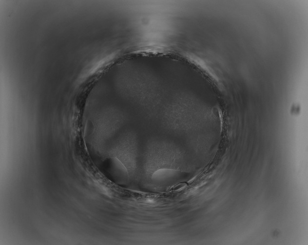 X0000101711399200807241445