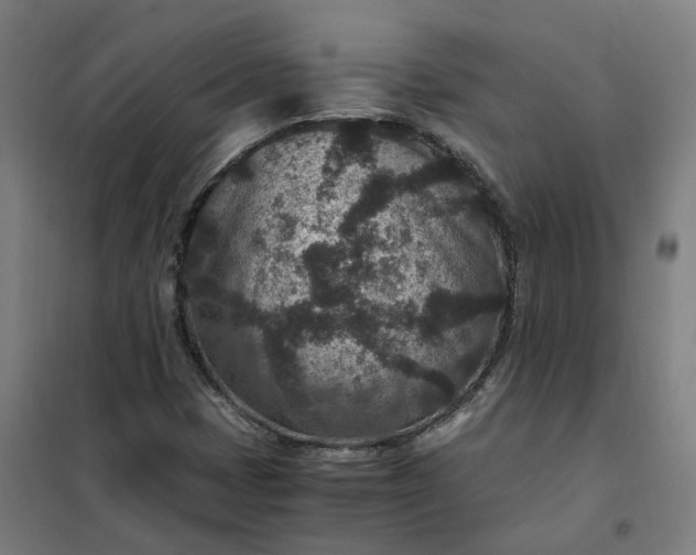 X0000101711401200807241445