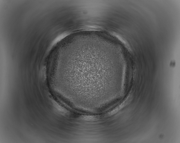 X0000101711402200807241445