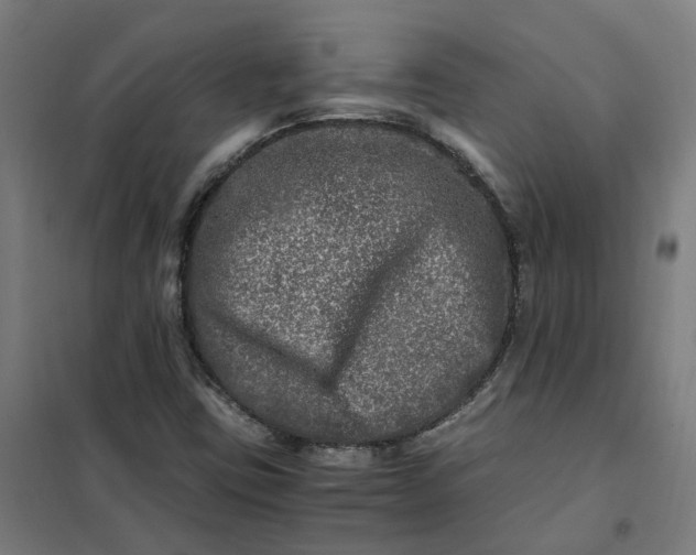 X0000101711403200807241445