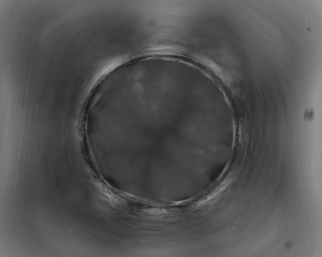 X0000101711405200807241445