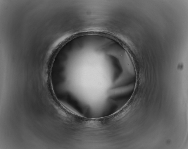 X0000101711406200807241445