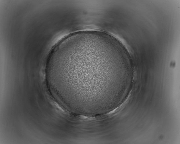 X0000101711407200807241445