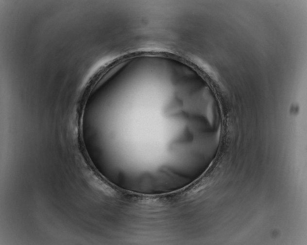 X0000101711408200807241445