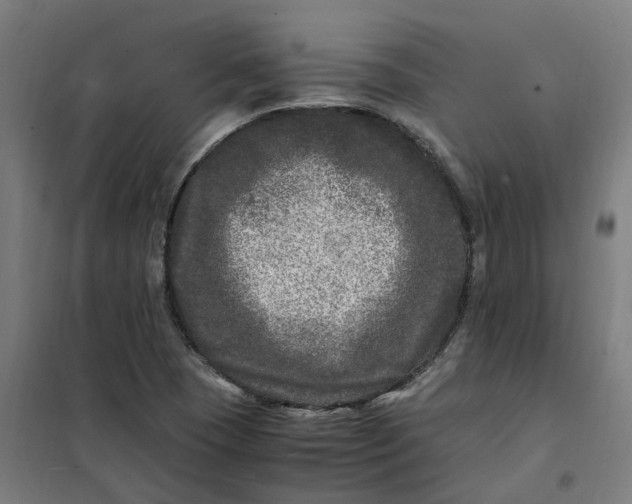 X0000101711409200807241445