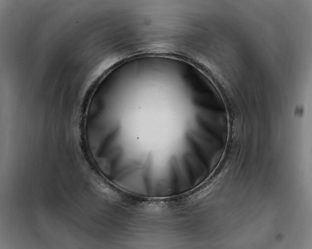 X0000101711410200807241445