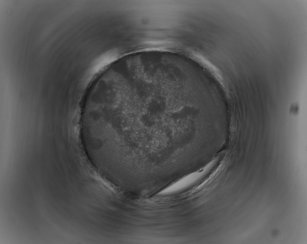 X0000101711411200807241445