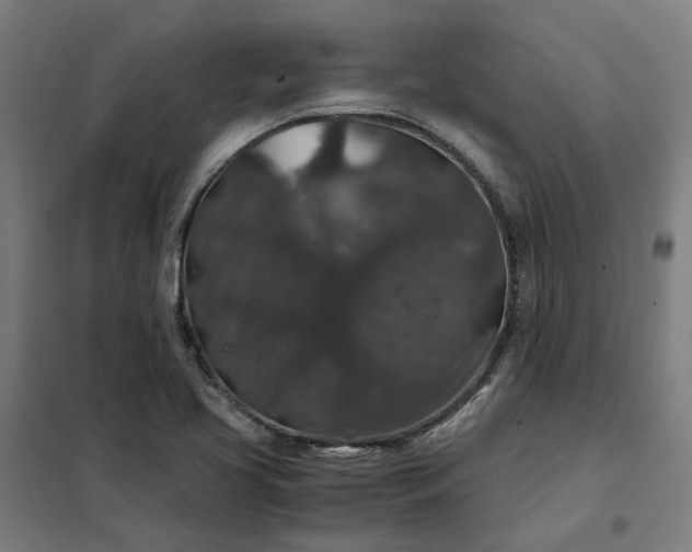 X0000101711413200807241445