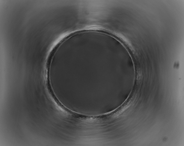 X0000101711414200807241445