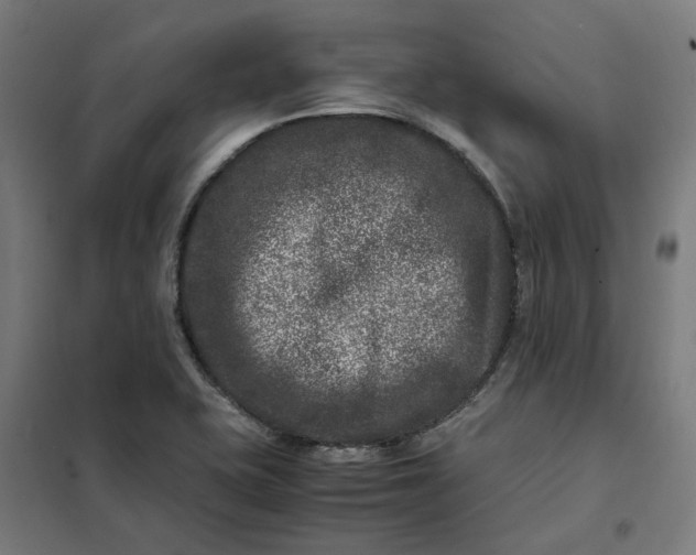 X0000101711415200807241445