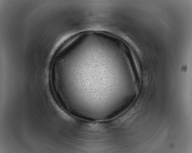 X0000101711416200807241445