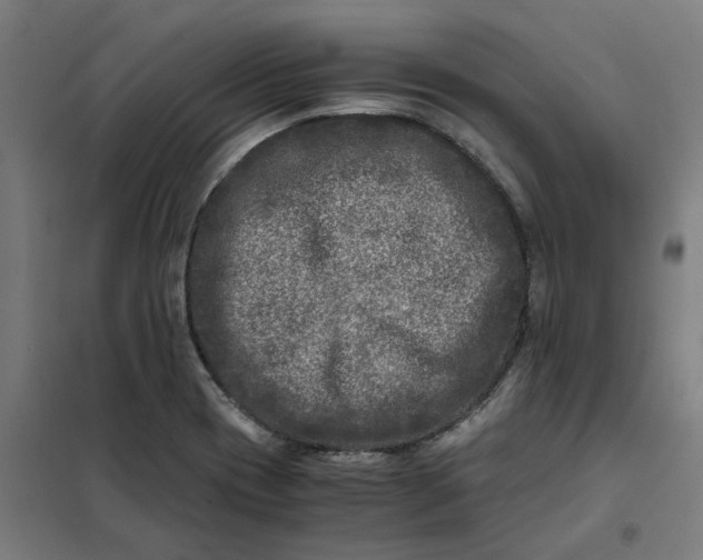 X0000101711417200807241445