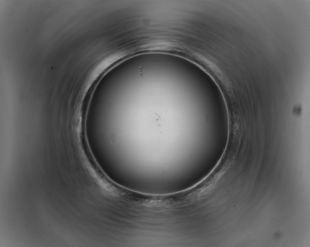 X0000101711418200807241445