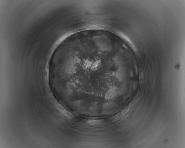 X0000101711419200807241445