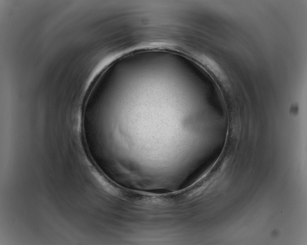 X0000101711420200807241445