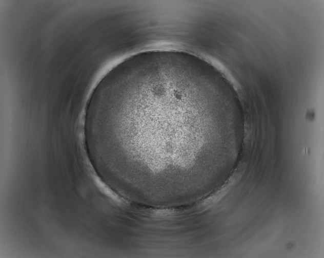 X0000101711421200807241445