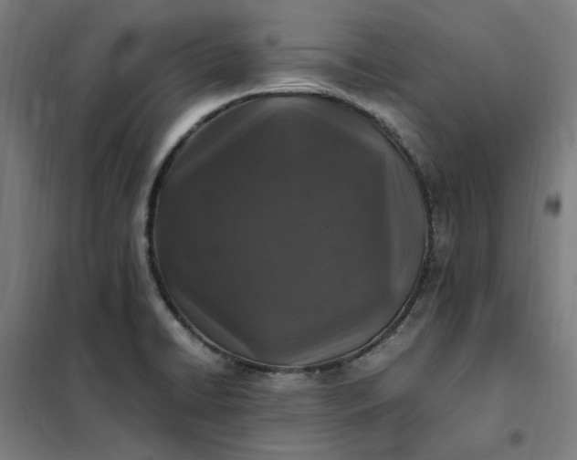 X0000101711422200807241445