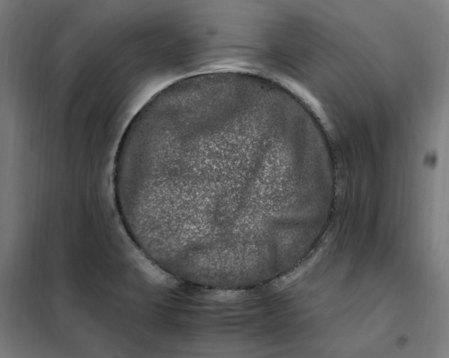 X0000101711423200807241445