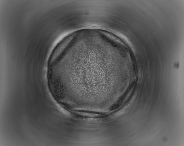 X0000101711424200807241445