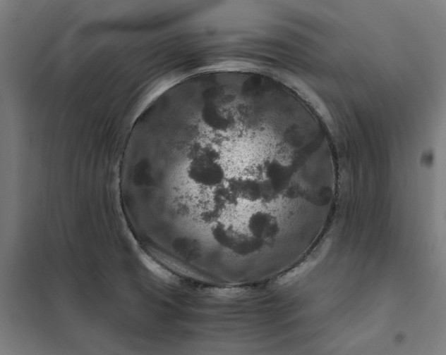 X0000101711425200807241445