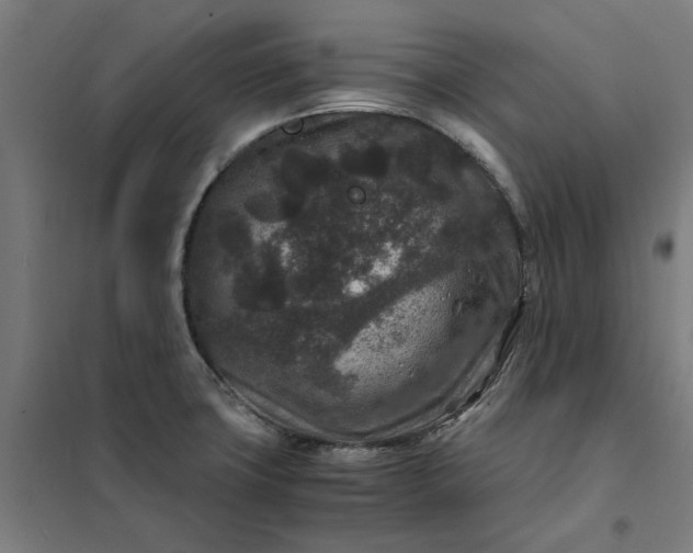 X0000101711427200807241445