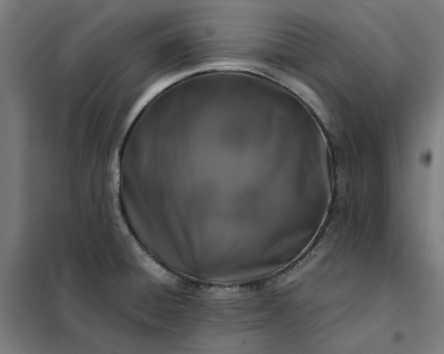 X0000101711428200807241445