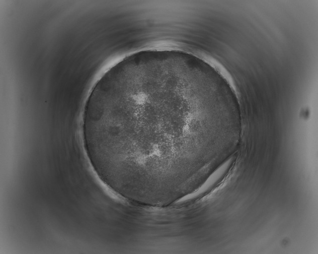 X0000101711429200807241445