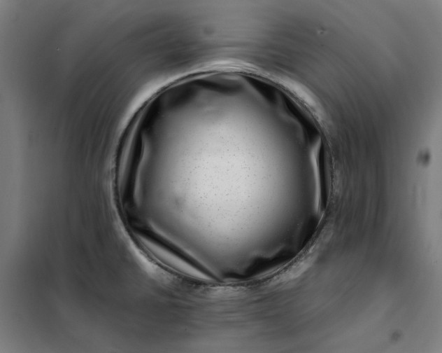 X0000101711430200807241445