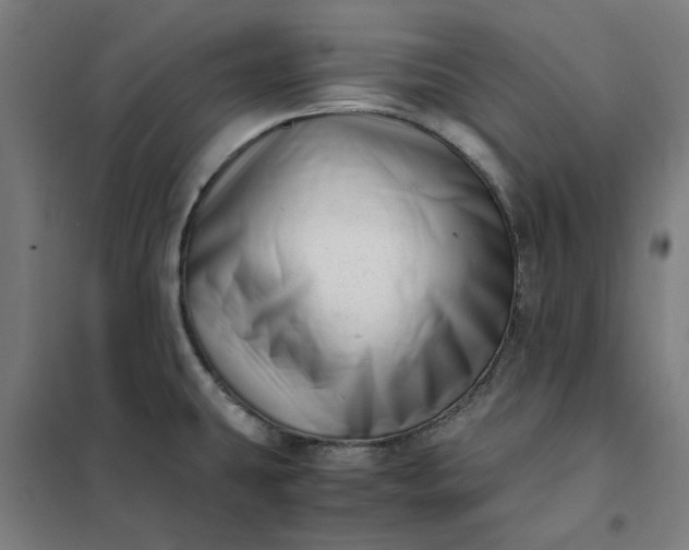 X0000101711431200807241445