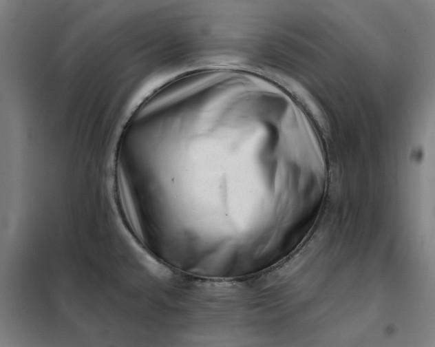 X0000101711432200807241445