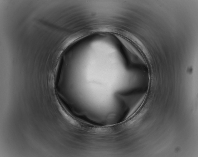 X0000101711433200807241445