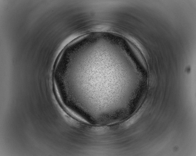 X0000101711434200807241445