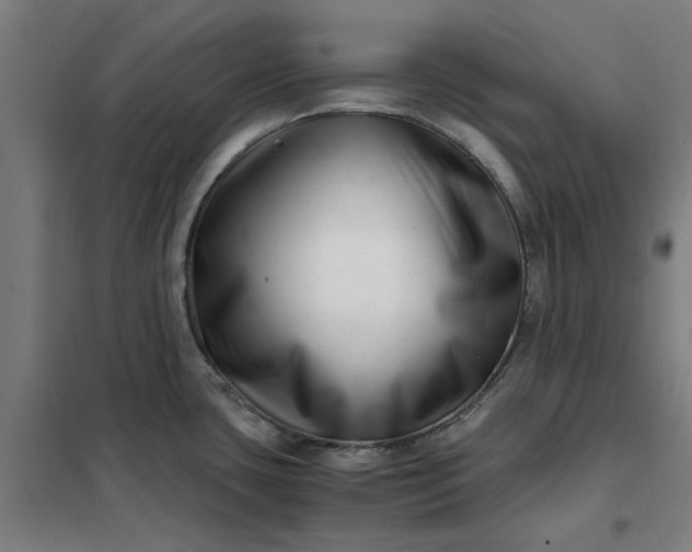 X0000101711435200807241445