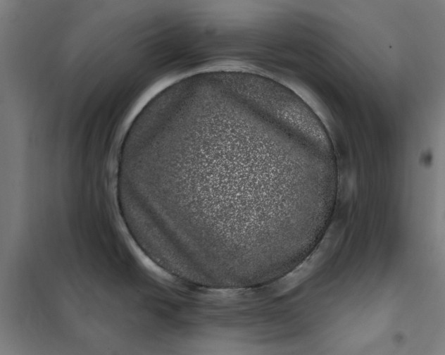 X0000101711438200807241445