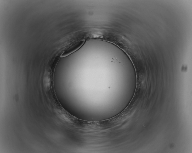 X0000101711442200807241445