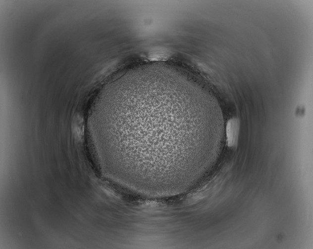 X0000101711443200807241445