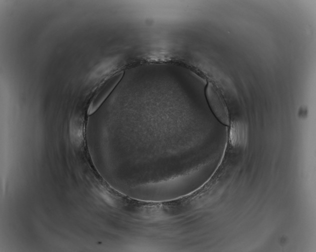 X0000101711444200807241445