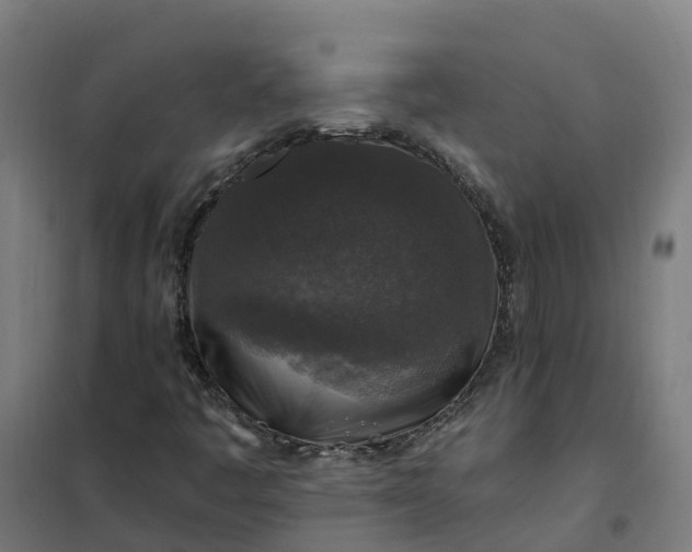 X0000101711445200807241445