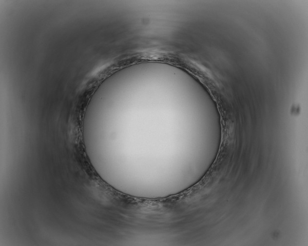 X0000101711446200807241445