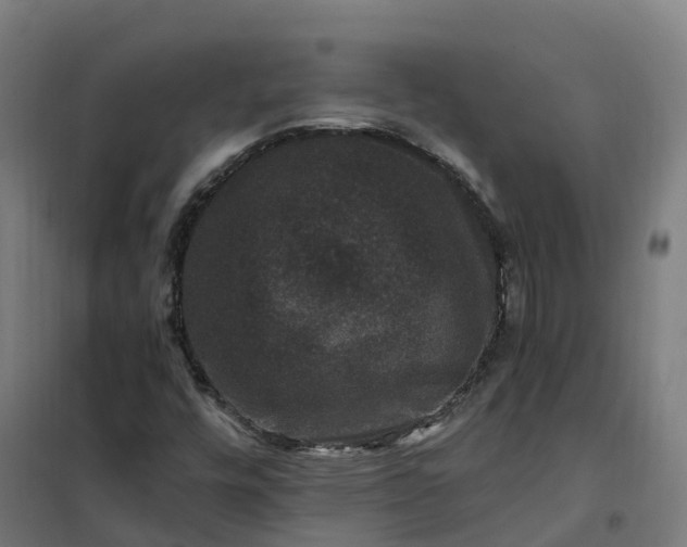 X0000101711448200807241445