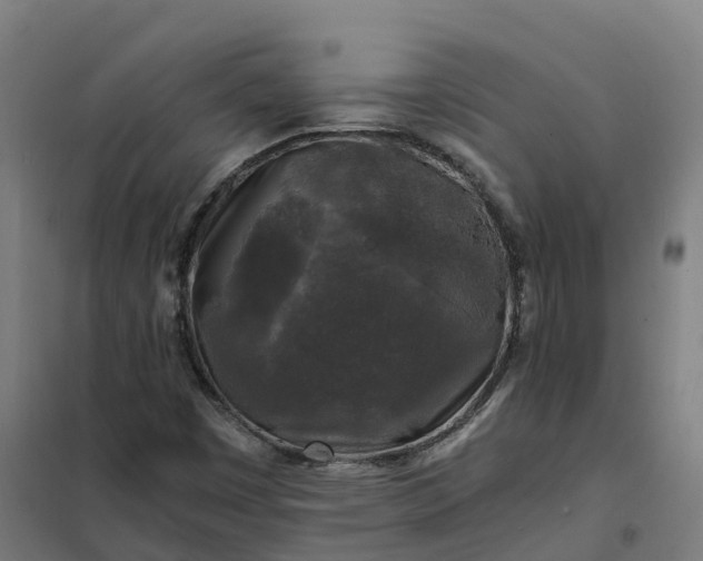 X0000101711449200807241445