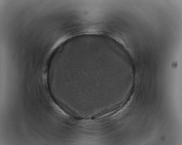 X0000101711450200807241445