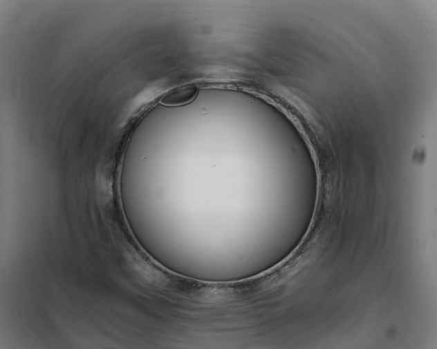 X0000101711451200807241445