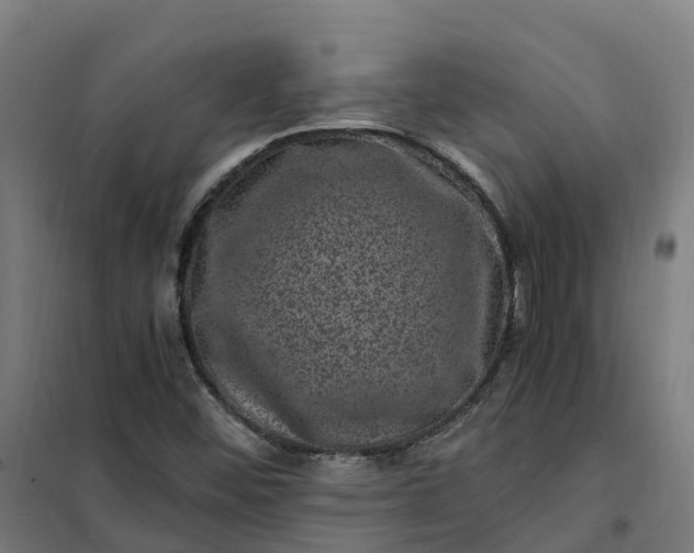 X0000101711452200807241445