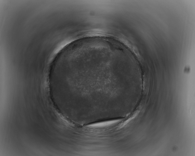 X0000101711453200807241445